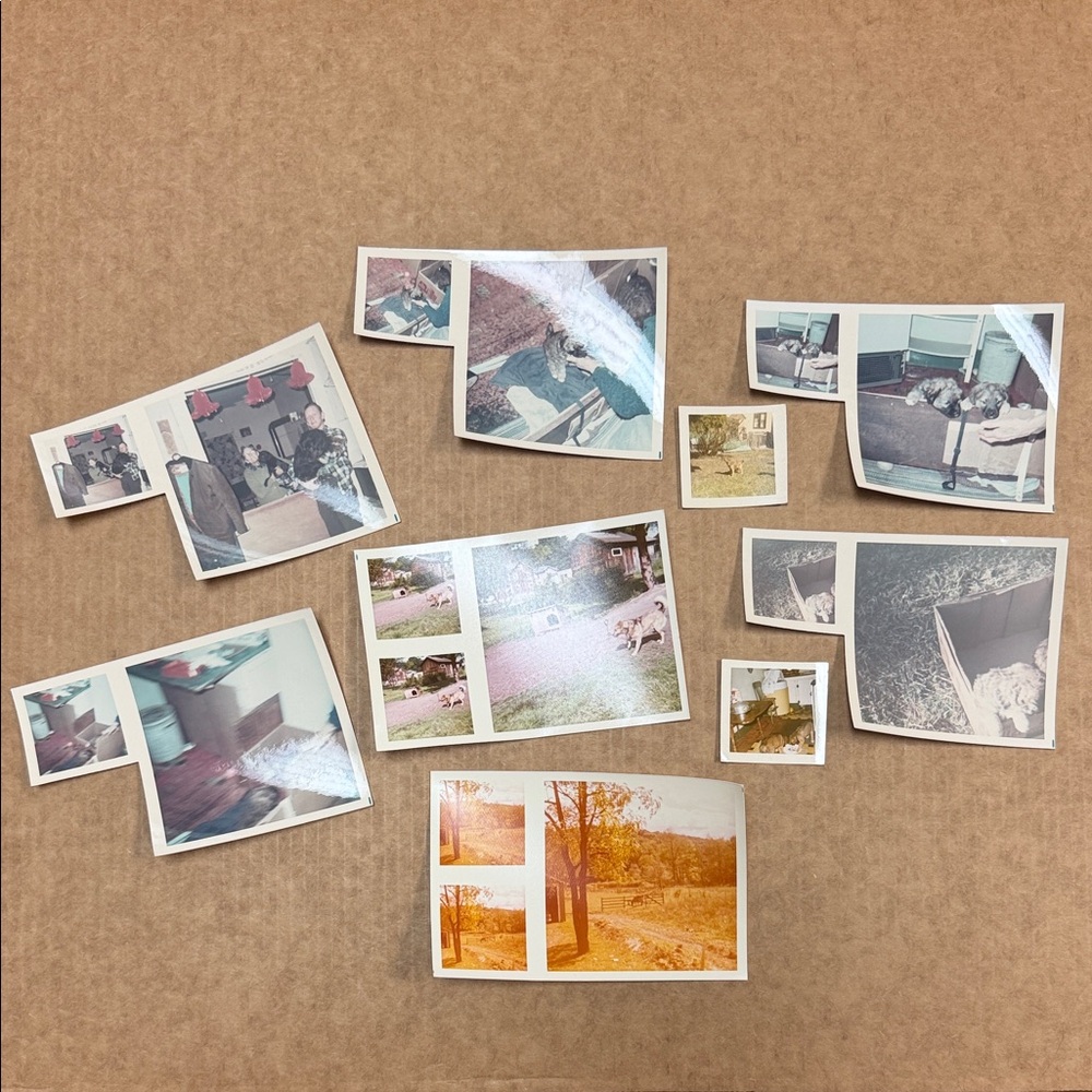 Vintage Photo Collection
